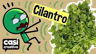 Si no te gusta el cilantro... | Casi Creativo