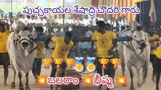 చిలకలూరిపేట గ్రామం న్యూ కేటగిరి విభాగం 10వ జత పుచ్చకాయల శేషాద్రి చౌదరి గారు బలరాం భీష్మ