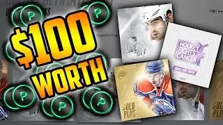 $100 WORTH OF PACKS! | LOTS OF SICK PULLS! (NHL 18 Pack Opening)