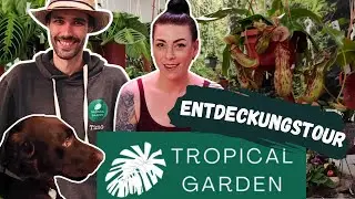 Pflanzen shop tour bei Tropical Garden | Monstera, Philodendron, Alocasia uvm.