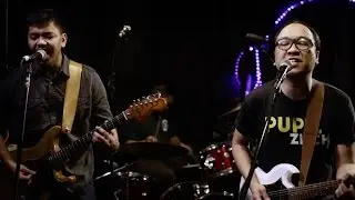 The Purplechickens - 