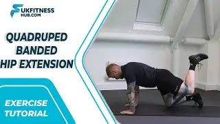 Exercise Tutorial: Quadruped Banded Hip Extension