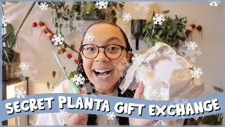 I Organized A SECRET PLANTA Gift Exchange 🎁