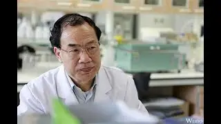 China and the Pandemic Part 2/4 Under The Rug [BBC 54 Days]