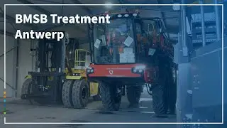 BMSB Treatment Antwerp | EWS Group