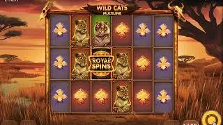 Wild Cats Multiline
