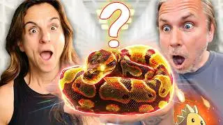 HUGE Update on Brian Barczyk's MYSTERY Snakes!