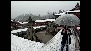 2026年厳島神社初詣