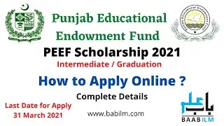 PEEF Scholarships 2021 || Intermediate / Graduation || How to Apply Online in Special Quota
