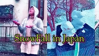 SNOW FALL in SAITAMA Japan | May Emergency Nangyari | Binibining Ai
