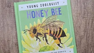 Young Zoologist Field Guide The Honey Bee #zoologist #honeybee