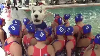 This Is Terriers Women's Water Polo