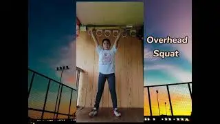 The Five Basic Strength Training Exercises