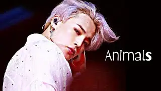 Jimin 지민 ➤ ANIMALS