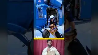 Dog Spots Danger, Saves a Female Helicopter Pilot#dog #cuteanimals #trending #youtubeshorts #viral