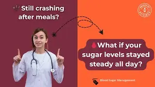 Scientific Discovery The Metabolic Reset Formula for Blood Sugar Support & Natural Fat Burning