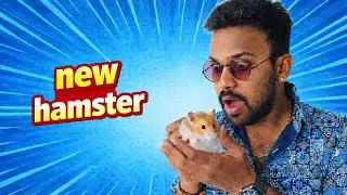Hamster bought 😱🐹 | New Pet Home Tour | Tamil Vlog