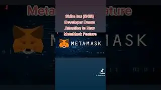 Shiba Inu (SHIB) Developer Draws Attention to New MetaMask Feature #shib #crypto #shibainu