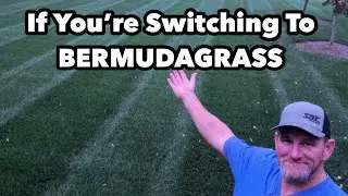 Что следует учесть, прежде чем переходить на BERMUDAGRASS