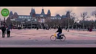Anomaly Amsterdam Enlightened