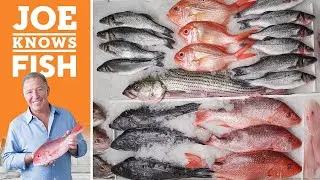Joe's Rules to Cooking Fish