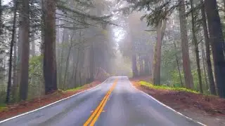 Live in Silicon Valley, from Half Moon Bay skyline blvd iconic route to San jose