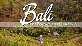 BALI || We have found the most sustainable place // Eco Tourism
