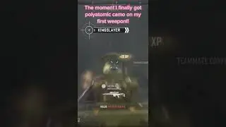 The moment I finally got polyatomic camo! #cod #mw2 #fps #gaming