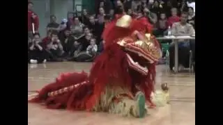 Team Shaolin European Championships 2010
