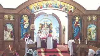 St. Mary & St. Mark Coptic Church Live Stream