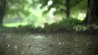 4K UHD Rain Drops - Sleep Meditation - Stress Relief - Most Relaxing Crystal Clear Droplets