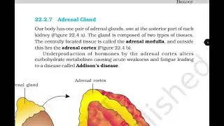 Chemical coordination and integration ncert reading audio book