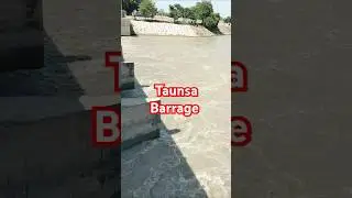 Taunsa Barrage pe TP Link Canal and MZG Canal Chala de 6000Cs.#punjabirrigation