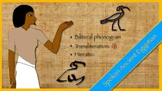 Hieroglyphs 𓊹𓌃 2. Biliteral signs (part 1) 𓉗𓏏𓉐𓍼𓏤𓎔𓏛𓏮𓏏