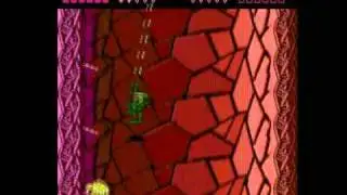 Battletoads, One Life Speedrun