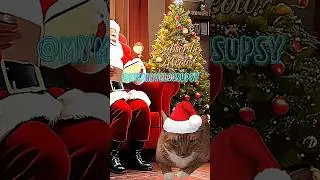 Putting up my Catmas Tree #gingercat #cat #cutecat #funnycats #catvideos