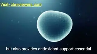 ProvaDent Review 2025 | Oral Probiotic Supplement for Healthy Gums & Fresh Breath
