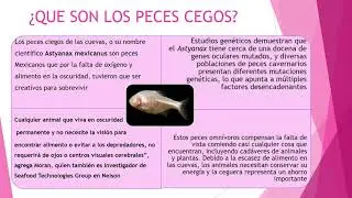 LOS PECES CIEGOS