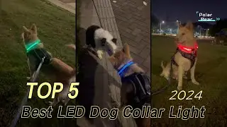 TOP 5 Best LED Dog Collar Light 2024