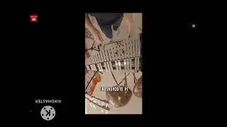 toddler late giving LG