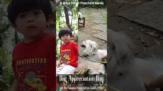 Dog Appreciation Day