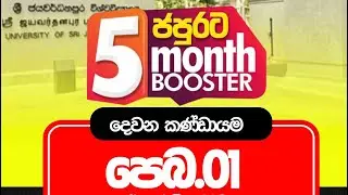 5 Months Booster Special Program | MyGuiders