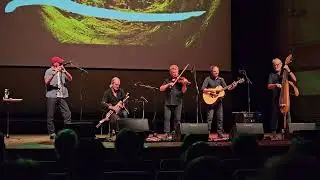 Lúnasa - Live at the Irish Festival of Oulu - Medley 