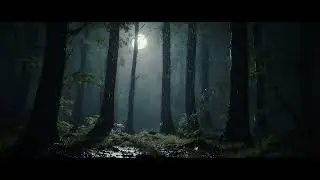Rainforest Rain Sounds for Sleeping or Studying 🌧️ 10 Hours