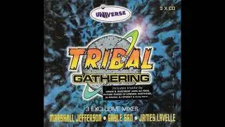 (Tribal Gathering '96 CD1) Basement Jaxx - Be Free