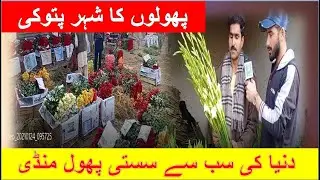 flower market pattoki update |Pattoki flower city by daily speak in urdu & hendi