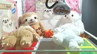Toreba: Winning Mike the sloth!