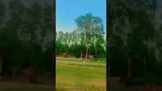 #fazilpur #beautiful I ❤️fazil pur