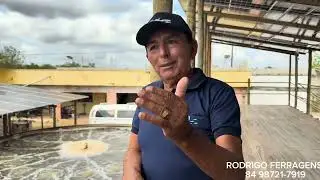 COM A BARRIGA NO TANQUE APRENDI ISSO.