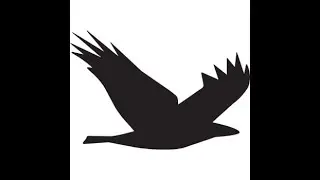 How to match your Fine Art to your Home Decor;. Shidonna Raven Fine Art & Giclees, Soaring by Design